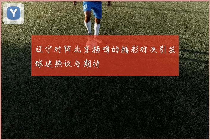辽宁对阵北京杨鸣的精彩对决引发球迷热议与期待